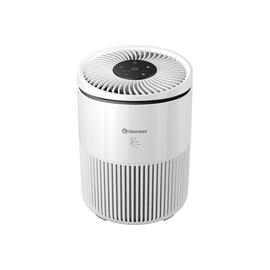 Очиститель воздуха THERMEX Bora 